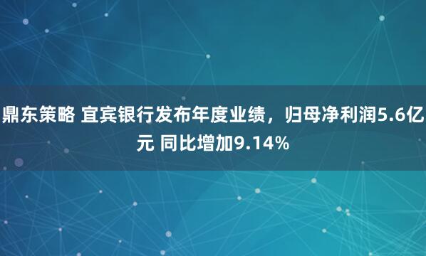 鼎东策略 宜宾银行发布年度业绩，归母净利润5.6亿元 同比增加9.14%