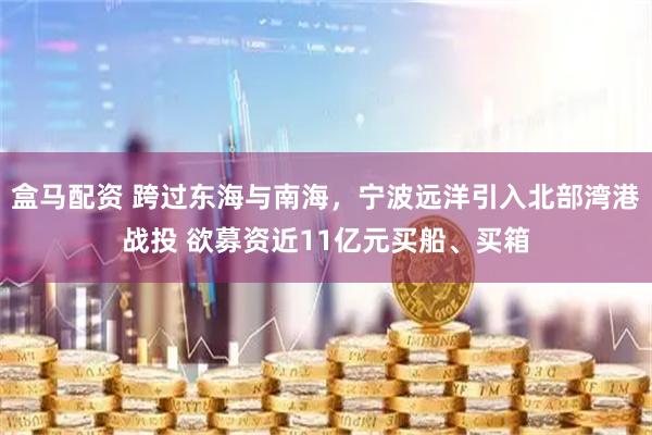 盒马配资 跨过东海与南海，宁波远洋引入北部湾港战投 欲募资近11亿元买船、买箱