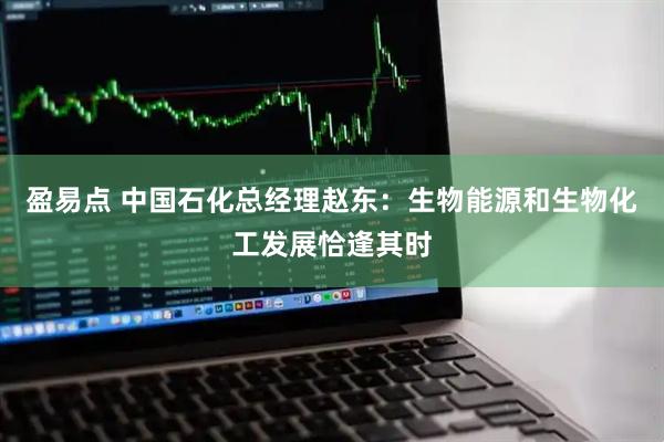 盈易点 中国石化总经理赵东：生物能源和生物化工发展恰逢其时