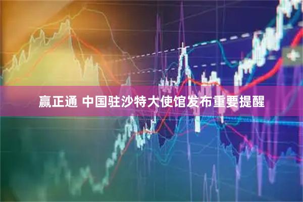 赢正通 中国驻沙特大使馆发布重要提醒