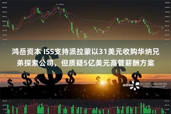 鸿岳资本 ISS支持派拉蒙以31美元收购华纳兄弟探索公司，但质疑5亿美元高管薪酬方案
