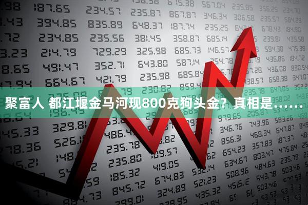 聚富人 都江堰金马河现800克狗头金？真相是……