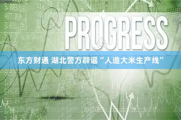 东方财通 湖北警方辟谣“人造大米生产线”